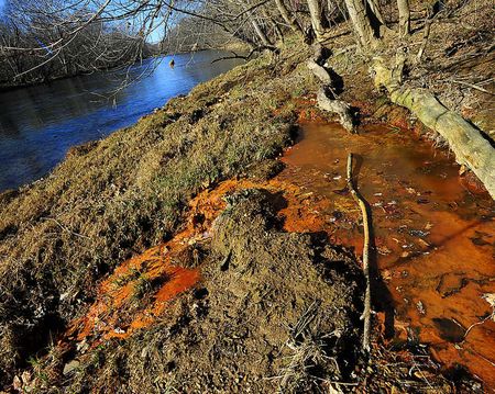 Creek Pollution